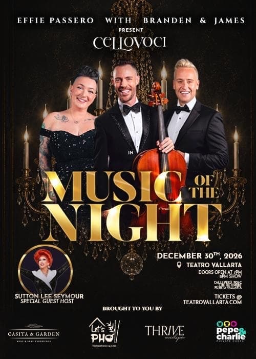 MUSIC OF THE NIGHT